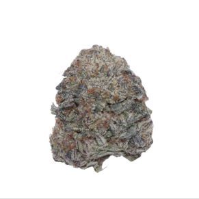 Biscotti Gushers indica weed cannabis
