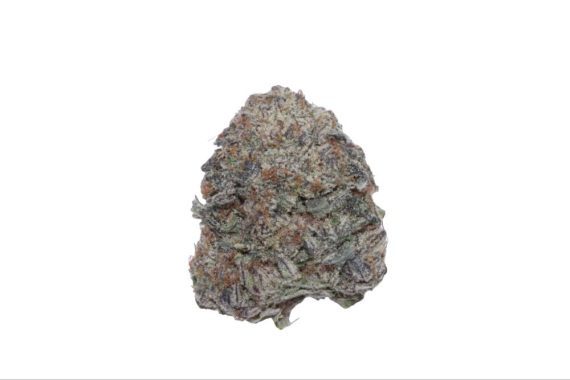 Biscotti Gushers indica weed cannabis