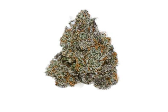 Jet Fuel Gelato weed cannabis indica sativa