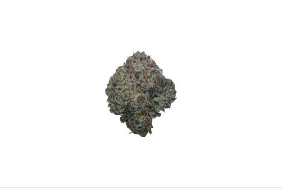 purple-kush-aaaa-2463410262