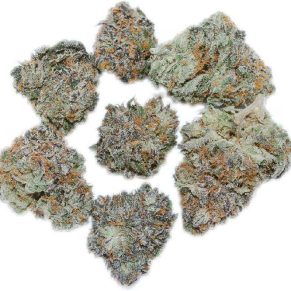 Mystery Bud weed indica sativa hybrid cannabis