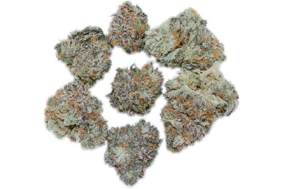 Mystery Bud weed indica sativa hybrid cannabis