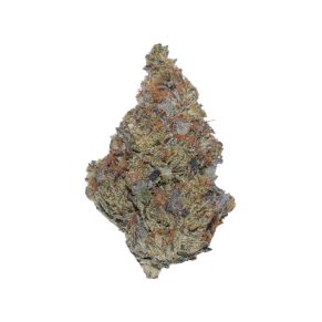 Amnesia - Image 1