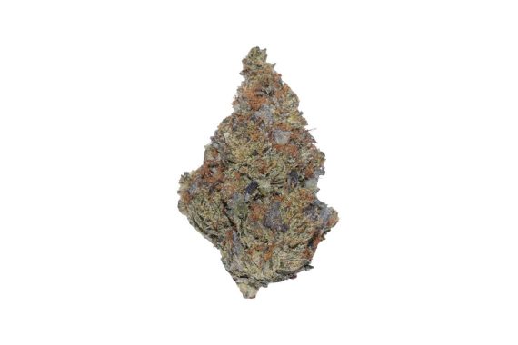 Amnesia052826
