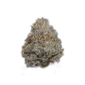 oreo stomper weed indica hybrid sativa strain