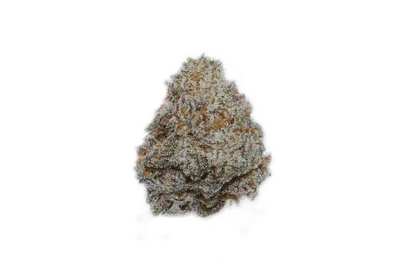 oreo stomper oreo stomper weed indica hybrid sativa strain