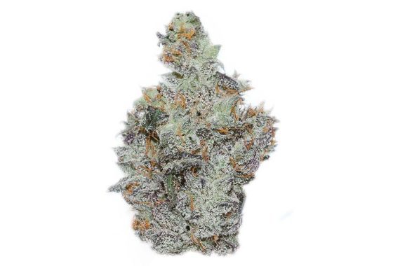 organic cherry blosoom