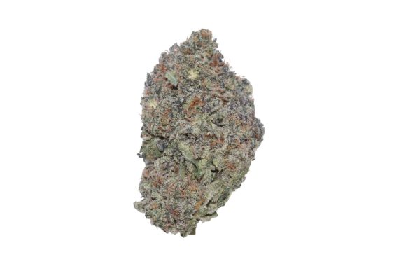 GorillaGlue2603222