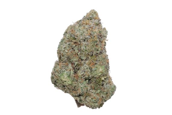 hot white guava cannabis weed strains hybrid indica sativa delivery