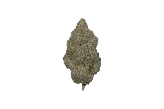 Pave052826