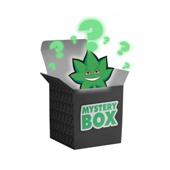 MYSTERY BOX weed cannabis shrooms