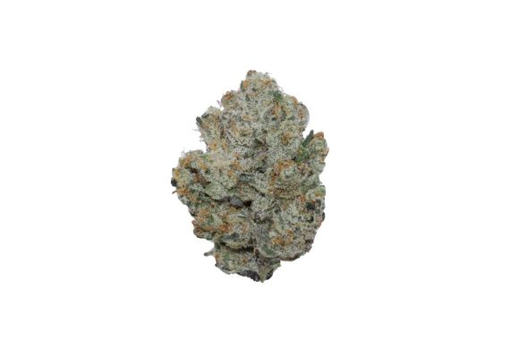 cinderella-xxx-241510 cream soda weed cannabis strain indica hybrid sativa