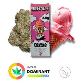 VORT-X VAPE DISPOSABLE THC PENS – 2G - Image 3