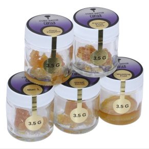 CURE-RATOR Wedding Cake 1g Premium Caviar