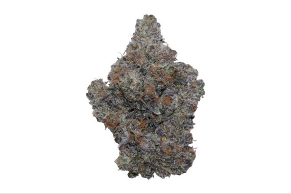 stinky putang weed indica sativa hybrid cannabis