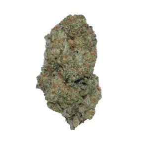 Super Silver Haze SSH sativa hybrid cannabis weed