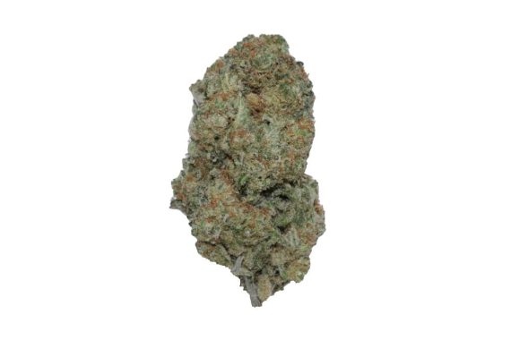 supersilverhaze0 Super Silver Haze SSH sativa hybrid cannabis weed