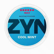 ZYN POUCHES SLIM COOL MINT