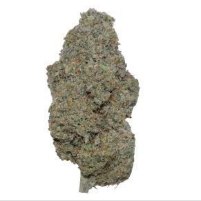 princess leia cannabis weed indica hybrid