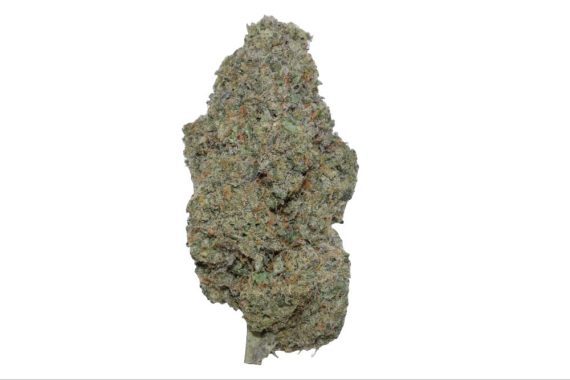 princess leia cannabis weed indica hybrid