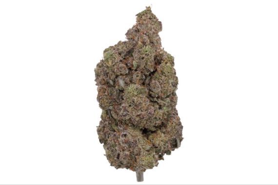 rainbow inferno weed indica hybrid sativa delivery
