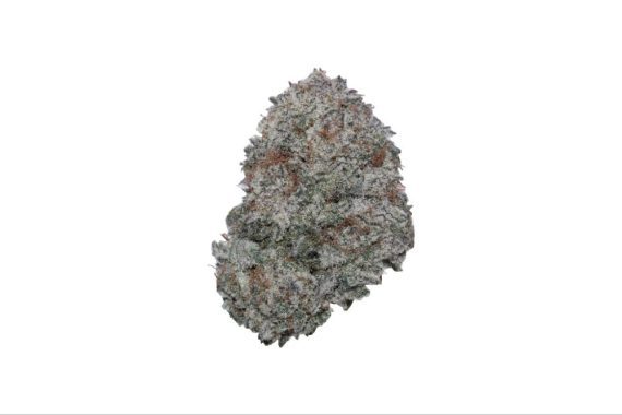 Cadillac Rainbows weed indica sativa hybrid cannabis