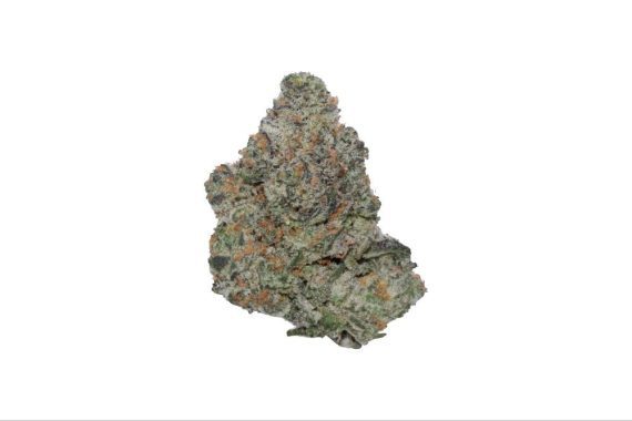 image0gobstopper gobbstopper weed indica sativa hybrid cannabis