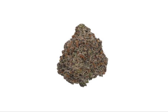 critical mass strain weed indica hybrid sativa cannabis delivery