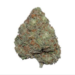 hippie crippler cannabis weed strain indica hybrid sativa delivery