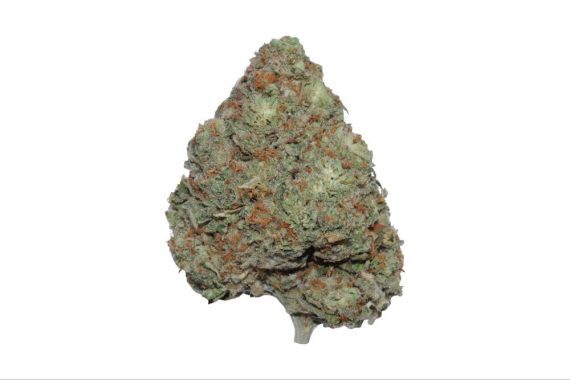 hippie crippler cannabis weed strain indica hybrid sativa delivery