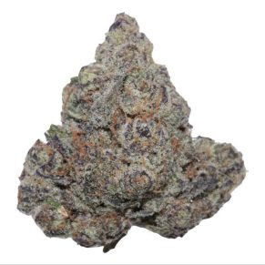 Candy Milkshake - Hybrid - AAA+