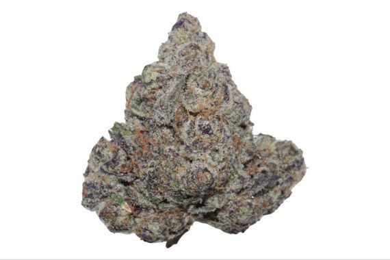 candy-milkshake-112425 Candy Milkshake - Hybrid - AAA+