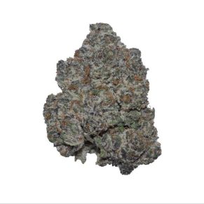 dank Sinatra indica hybrid sativa weed strain delivery cannabis