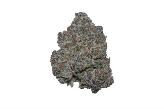 dank-sinatra-1102258863 dank Sinatra indica hybrid sativa weed strain delivery cannabis