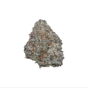 Milk Bar - Hybrid - AAA+