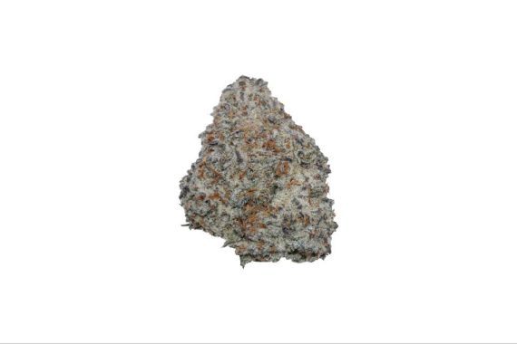 Milk Bar - Hybrid - AAA+