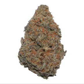 red Congolese indica hybrid sativa weed strain delivery cannabis