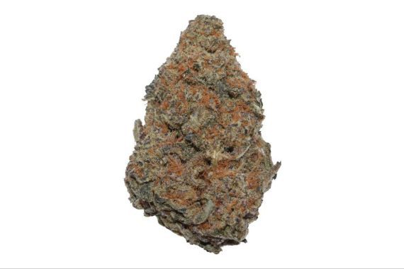 red-congolese-10022598123 red Congolese indica hybrid sativa weed strain delivery cannabis