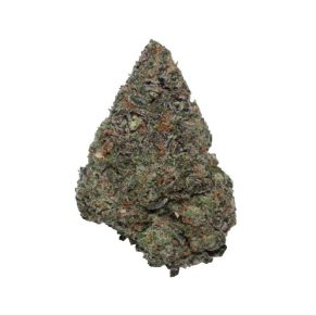 Runtzbert - Hybrid - AAA