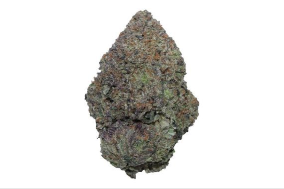 super glue og indica hybrid sativa weed strain delivery cannabis