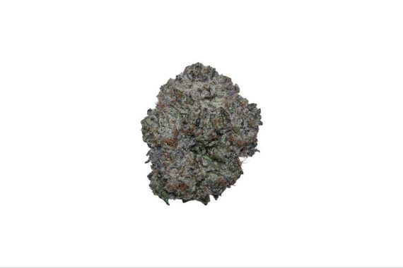 white-rhino-112425 White Rhino - AAAA - Indica